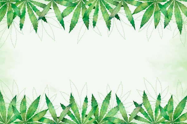 Achat Cannabidiol