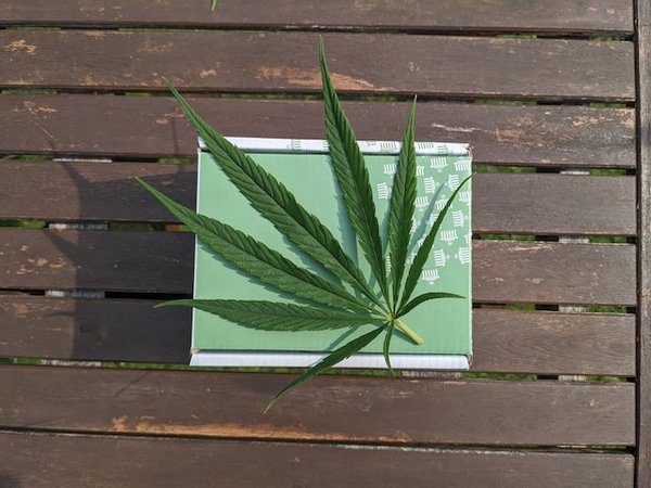 Quelles sont les précautions à prendre avant d'acheter du cannabidiol ?