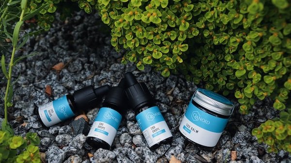 Pourquoi la vente du cannabidiol est possible en France ?