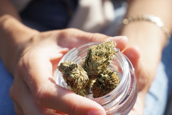 Comment consommer du cannabidiol sous forme de fleurs ? Le guide complet